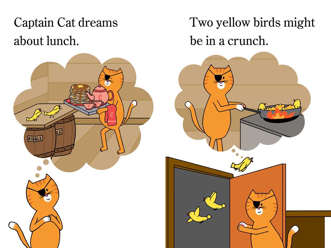Captain Cat and the Pirate Lunch by Emma J. Virjan