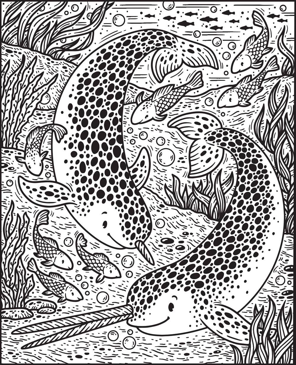 Narwhals & Other Sea Creatures Magic Painting Book: Usborne