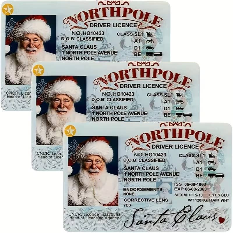 🎄 Santa License
