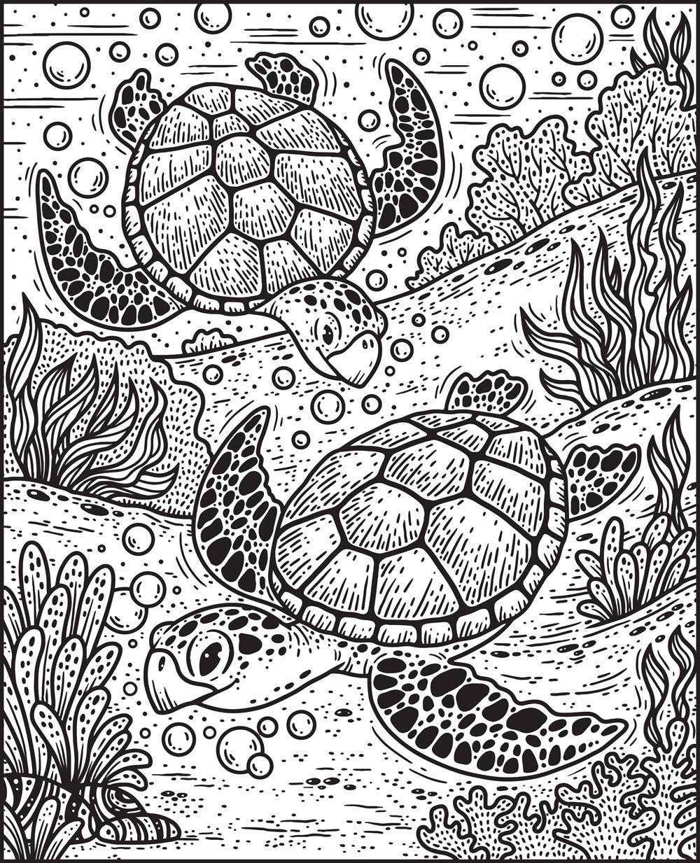 Narwhals & Other Sea Creatures Magic Painting Book: Usborne