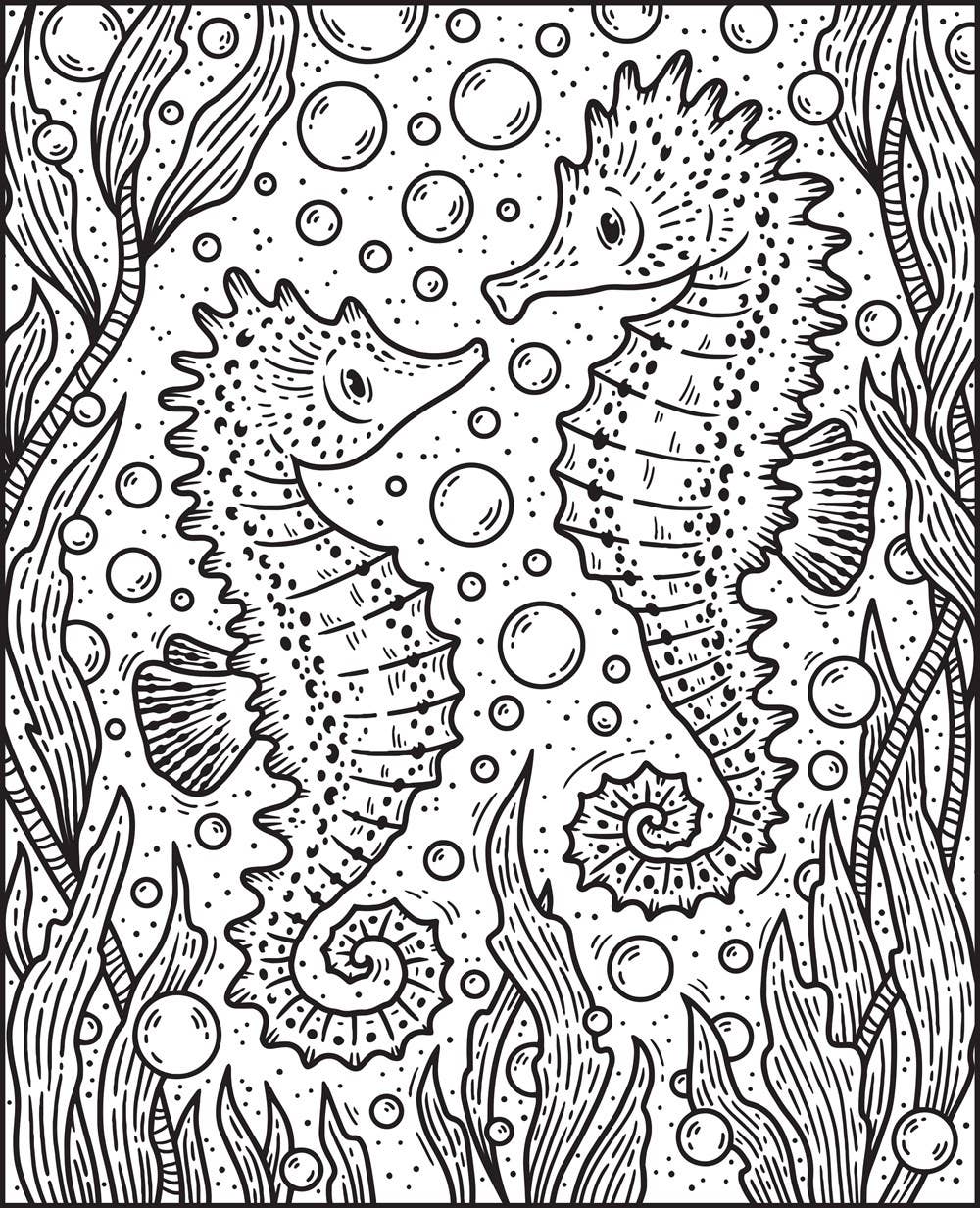 Narwhals & Other Sea Creatures Magic Painting Book: Usborne